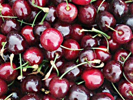 Die Auswahl der Früchte für Nicoles Marmeladenherstellung