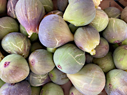 Die Auswahl der Früchte für Nicoles Marmeladenherstellung