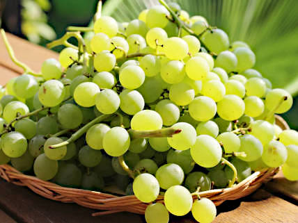 La Sélection des fruits pour la Fabrication des Confitures de Nicole