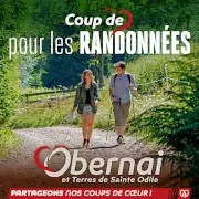 Onze favorieten, wandelingen in Obernai