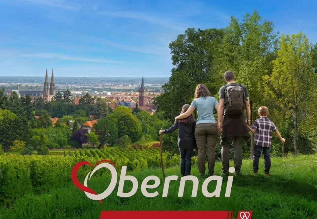 Obernai - Vollständiger Reiseführer zur Perle des Vogesenpiedmonts