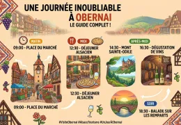 Que faire à Obernai en une journée ? Le guide complet
